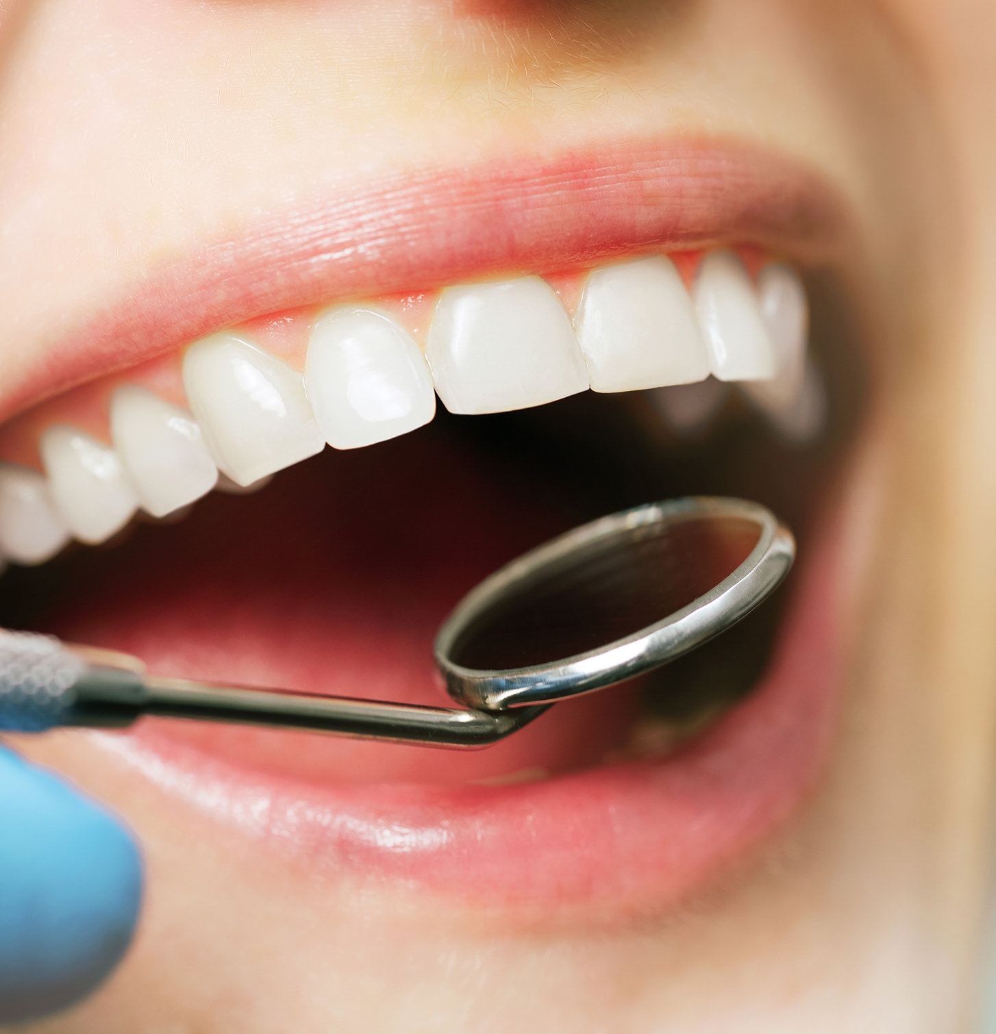 Concierge-Level Guidance at Every Step